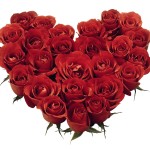 free-love-heart-shaped-flower-desktop-wallpaper_1600x1200_81536